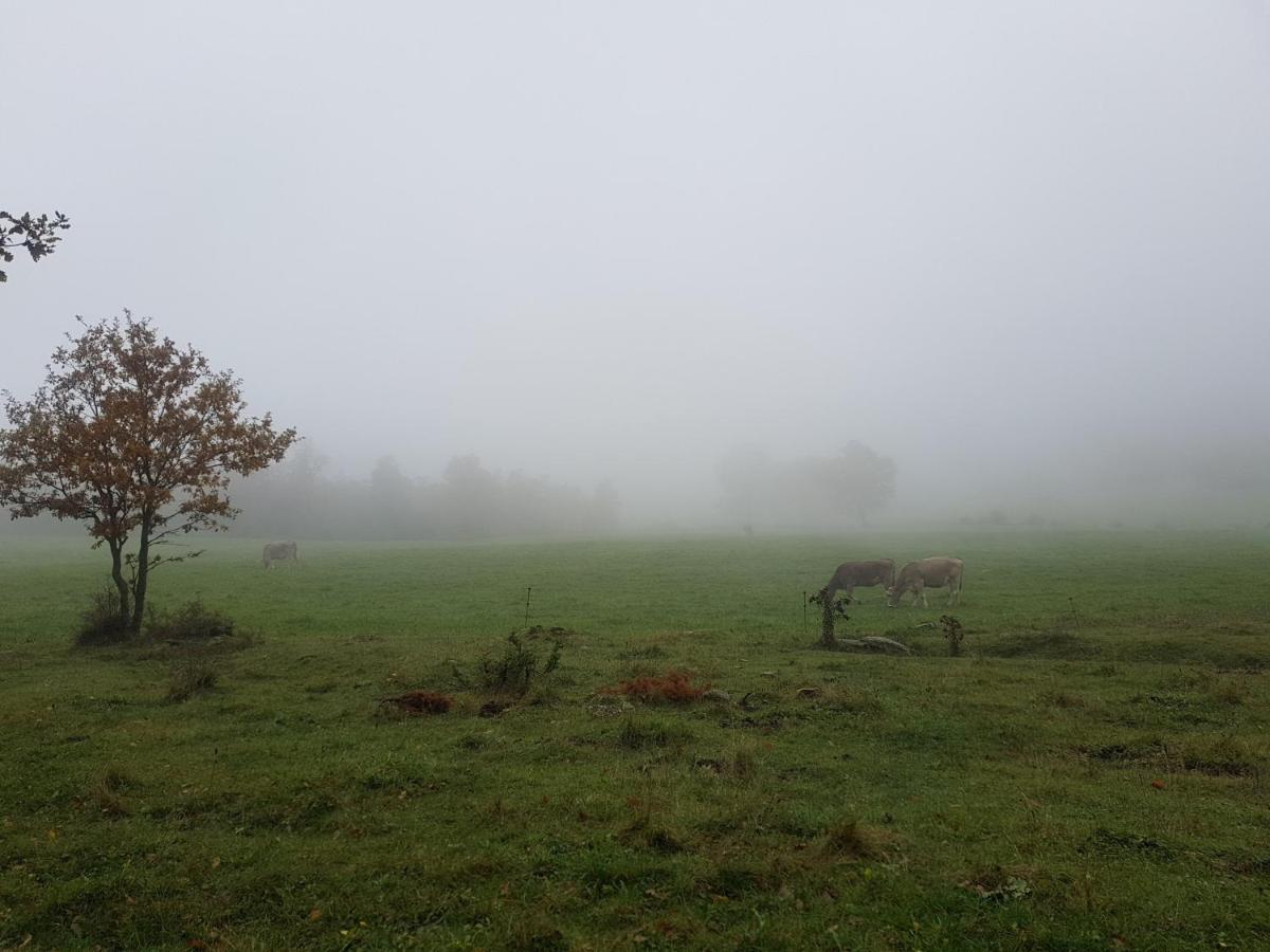 Santuari De La Salut De Sant Felíu de Pallarols Eksteriør billede