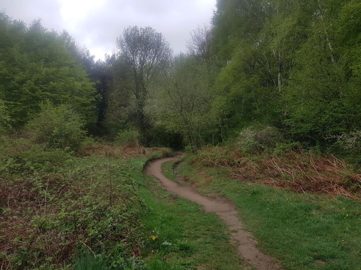 Santuari De La Salut De Sant Felíu de Pallarols Eksteriør billede