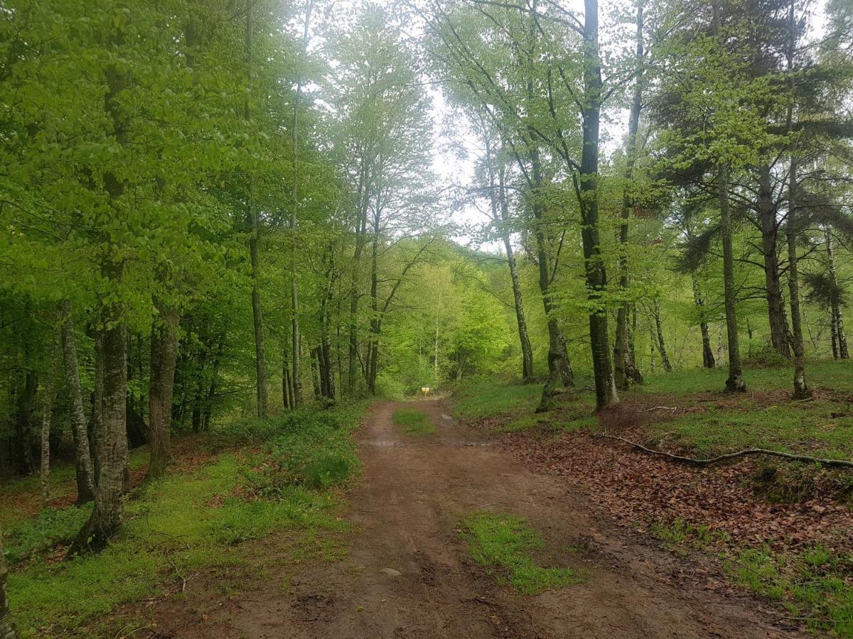 Santuari De La Salut De Sant Felíu de Pallarols Eksteriør billede