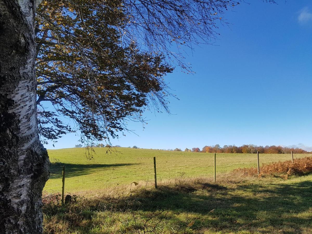 Santuari De La Salut De Sant Felíu de Pallarols Eksteriør billede